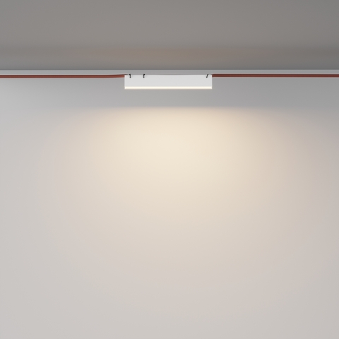 Трековый светодиодный светильник Maytoni Basis TR129B-12W3K-W