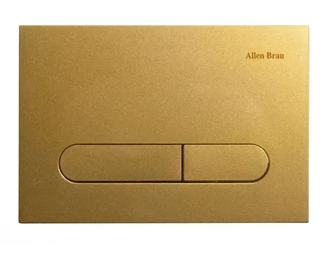 Allen Brau Project Color 9.2PR01.GD Клавиша смыва, золотой