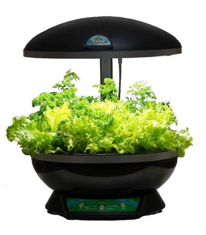 Выращиватель Домашний сад черный (гидропонная установка с непрозрачным бассейном)