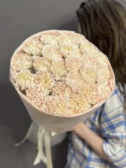 Букет из 25 кремовых диантусов