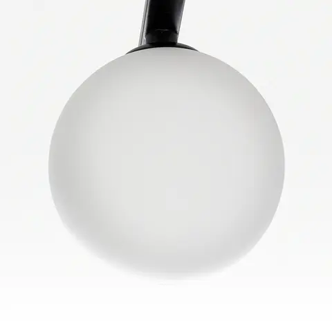 Потолочная люстра Citilux Glob CL209261