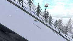 Ski Jumping World Cup (для ПК, цифровой код доступа)