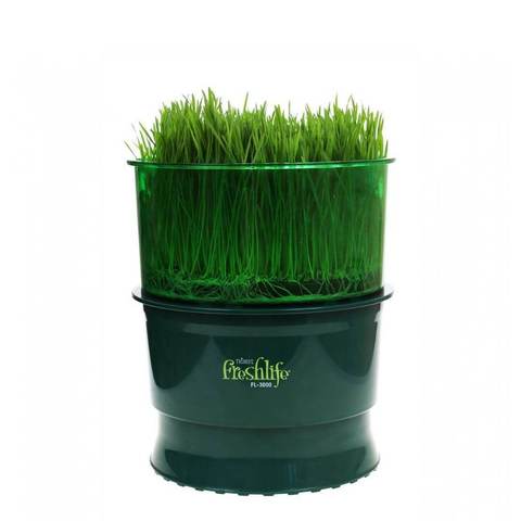 Проращиватель Tribest Freshlife FL-3000 (автоматический)