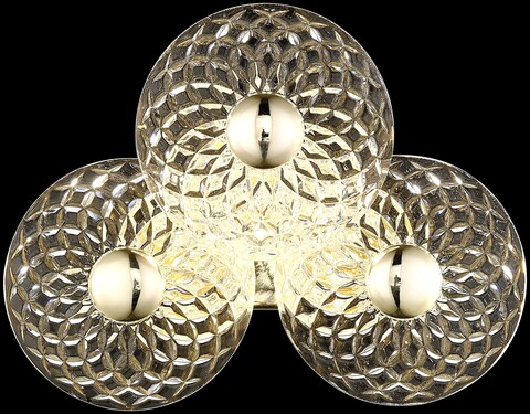 Светильник настенный Wertmark Pamela WE160.03.301