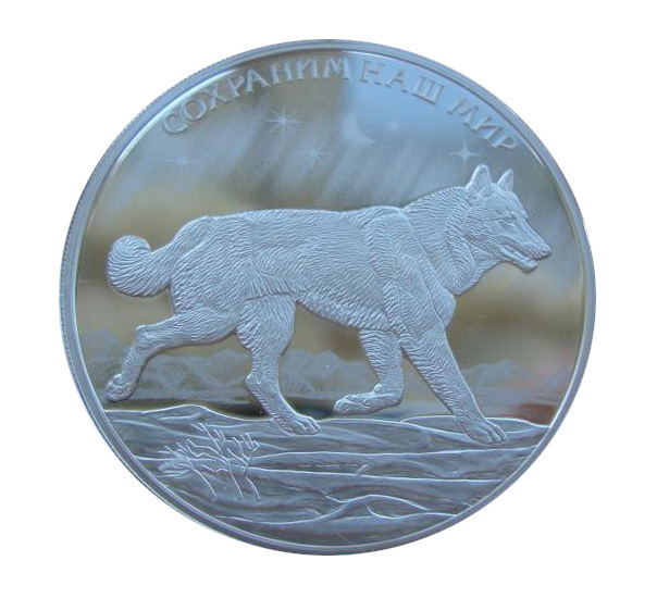 полярный волк фото. арктическая волчица и пума. колонии no 3 полярный волк. Vincent munier arctic. колонии no 3 полярный волк.