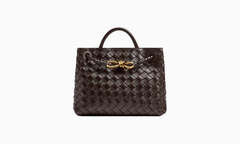 Сумка Bottega Veneta Small Andiamo "Fondant"