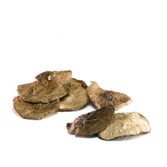 Мухомор пантерный шляпки, 100 грамм. Свежий сбор!