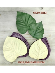 Молды+Вайнеры