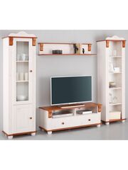 Модуль стенки для гостиной