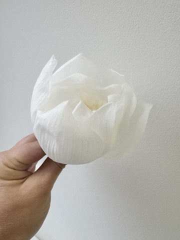 Лотос стабилизированный Белый 6-9см (1шт) см.доп.описание