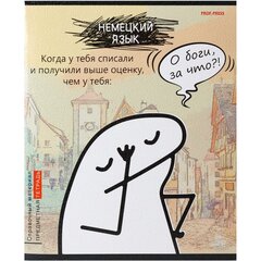 Тетрадь предметная 48л., А5, клетка, Проф-Пресс " Немецкий язык. Аниме", скрепка, мелованный картон, тиснение хол. фольга, soft touch