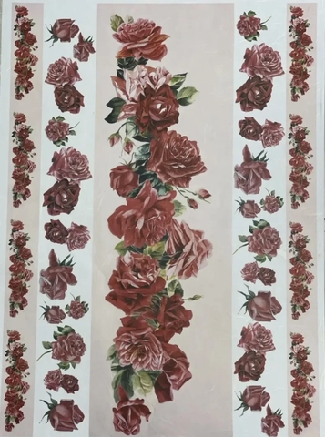 рисовая карта EXCR 262 (35*50см)