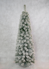 Ели PENERI Ель София  заснеженная