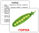 Лук репа горох. Горох карточка для детей. Карточки овощи для детей горох. Табличка горох. Огурец карточка для детей.