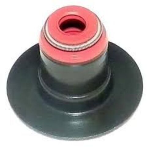 Маслосьемные колпачки WSM 010-050 (аналог 420630200, 420630202)