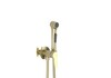 Aquatek AQ1719BG AQ1719BG ЛУГАНО комплект для гигиенического душа встроенный (смеситель + гигиеническая лейка + шланг), шлиф. золото