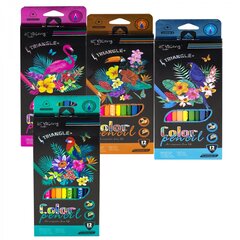 
          Карандаши цветные Yalong 12 цв., "Birds" деревянные, трехгранные, заточенные, грифель 3.0 мм, картон. уп., европодвес