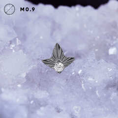 Leaf Geometry & Crystal