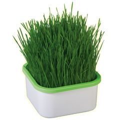 Проращиватель Здоровья Клад белый (универсальный)