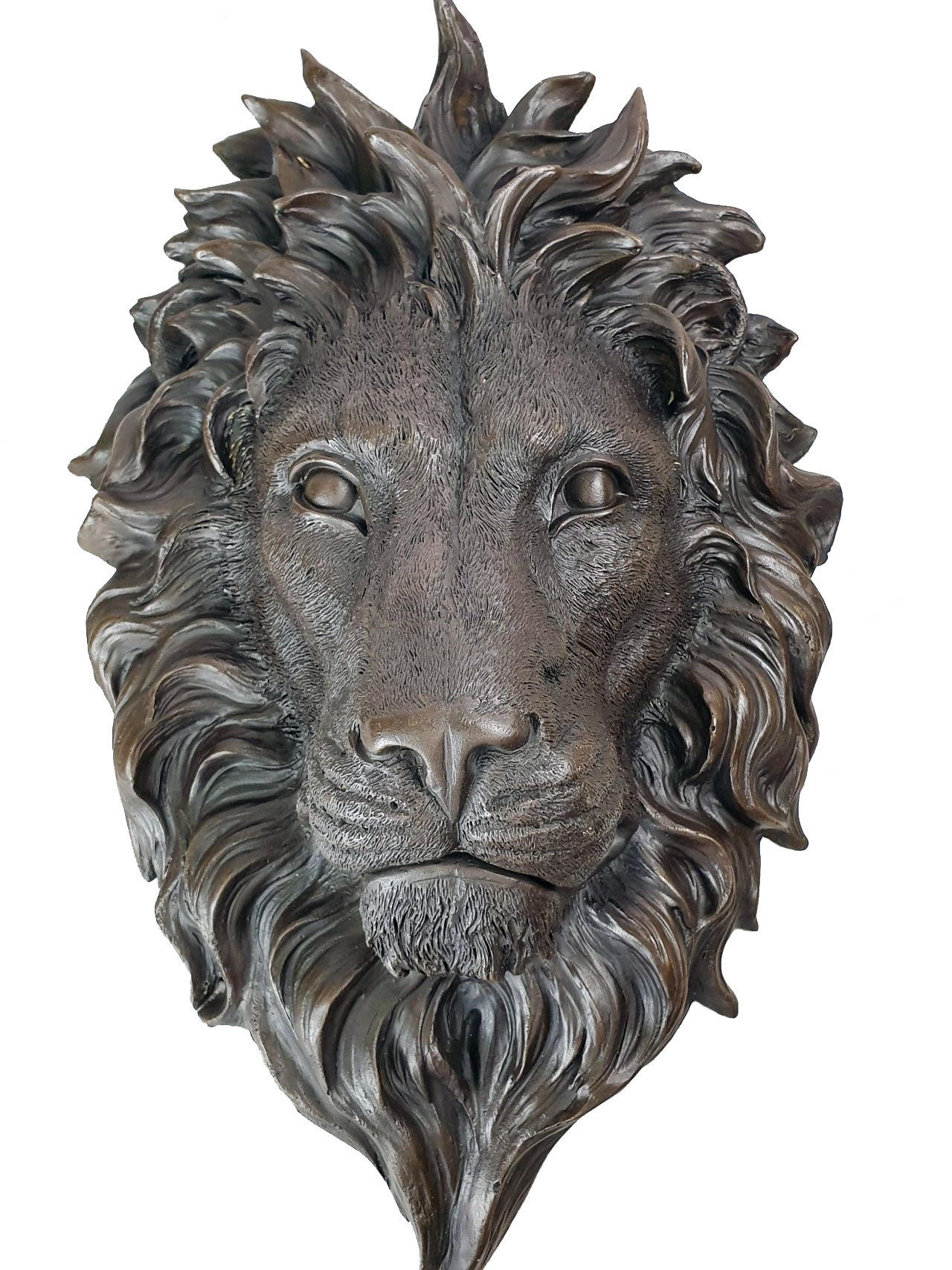 Голова льва (d125)