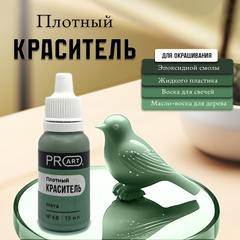 Плотный краситель TINT, №48 Мята, 15мл., ProArt