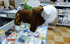 Велюровый костюм для мелких пород собак, коричневый