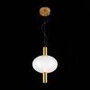 Светильник подвесной ST Luce Allenore SL1582.303.01