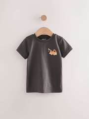 Футболка для мальчика Next AM5-258, Темно-серый