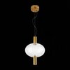 Светильник подвесной ST Luce Allenore SL1582.303.01