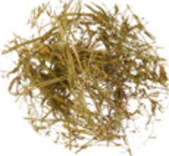 Золототысячник (трава , 50гр.)  (Старослав)