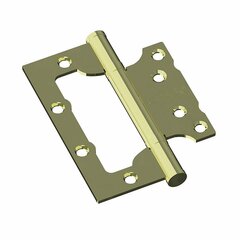 Петля дверная Bravo F-4-2BB 100*75*2,5 G Золото