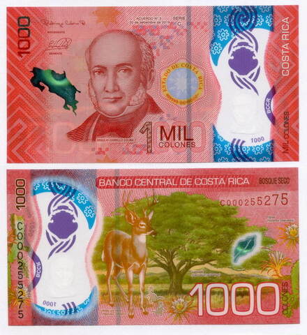 Банкнота Коста-Рика 1000 колон 2019 год C000255275. UNC (пластик)