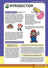 Super Mario Encyclopedia: The Official Guide to the First 30 Years