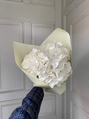 Гортензии белые в оформлении 3шт