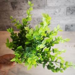 Зелень Эвкалипт 7 веточек Зеленый