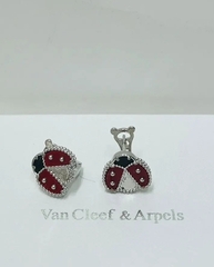 sergi-vca-bozhya-korovka-s-ehmalyu