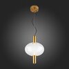 Светильник подвесной ST Luce Allenore SL1582.303.01