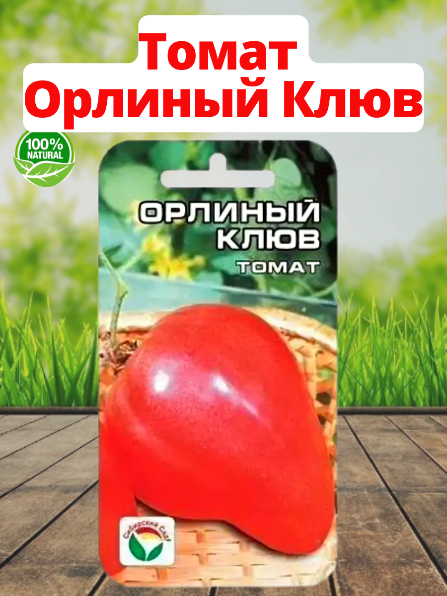 сорт томатов орлиный клюв фото