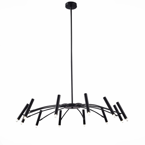 Светильник потолочный ST Luce Spidey SL1214.402.12