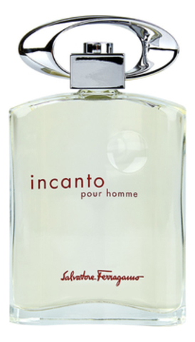 Salvatore Ferragamo Incanto pour homme