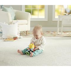 Fisher Price Игрушка 