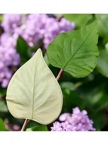 Молд пластиковый лист сирени 12х9,3см