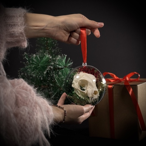 Ёлочный шар