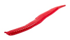 Черви съедобные искусственные Salt Water SANDWORM 4in (10 см), цвет F40, 15шт.