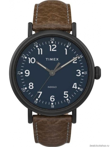 Наручные часы Timex TW2T90800YL фото