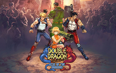 Double Dragon Gaiden: Rise Of The Dragons (для ПК, цифровой код доступа)