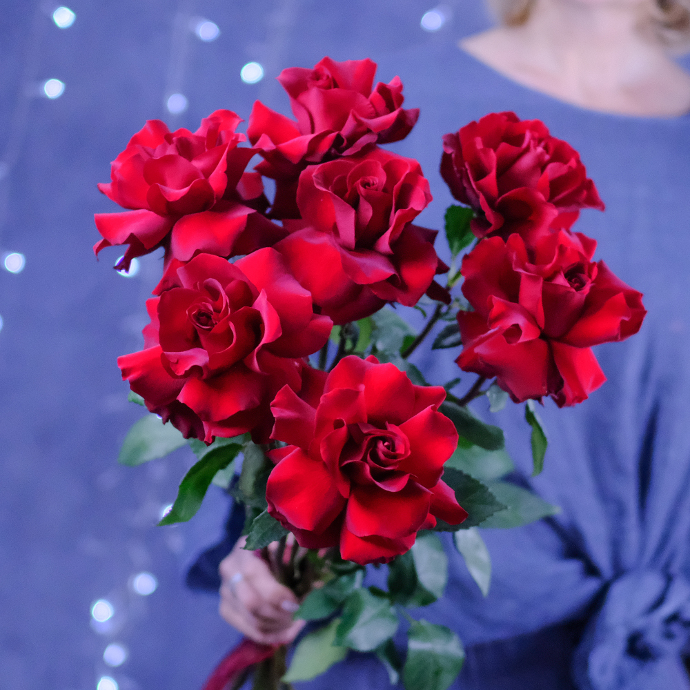 25 красных роз премиум