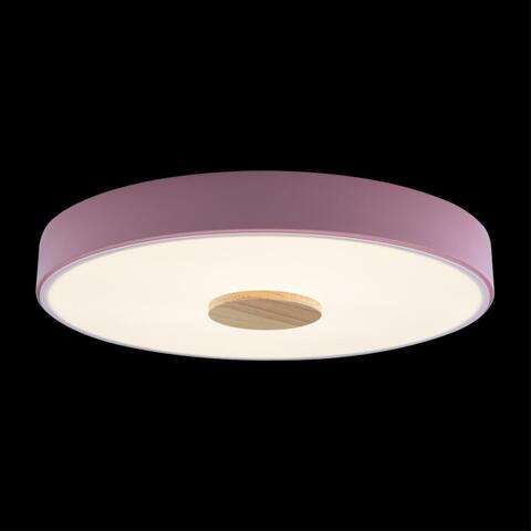 Потолочный светильник Loft It Axel 10003/24 Pink