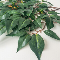 Фикус темно-зеленый, искусственные растения, реалистичный, ветка 60 см, набор 2 шт.