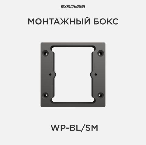 CVGAUDIO WP-BL/SM Монтажный бокс для накладной установки на стену контроллеров CVGAUDIO ERC-1/2, цвет черный
